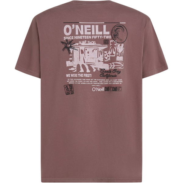 2026 O'Neill Mens O'riginals Retro Back Print T-Shirt 2850384 - Purple Gray